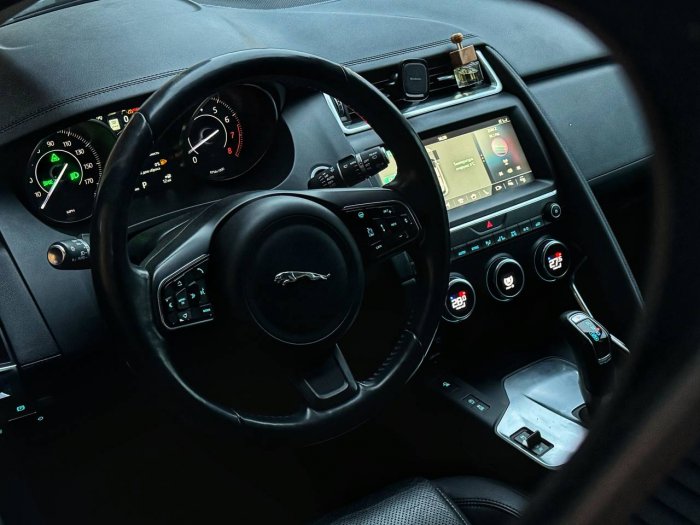 Jaguar
